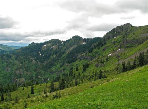 Portland Hikers • PortlandHikers.org